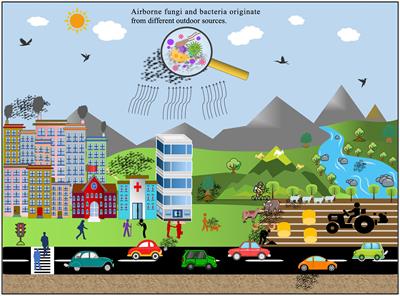 A review of pathogenic airborne fungi and bacteria: unveiling occurrence, sources, and profound human health implication